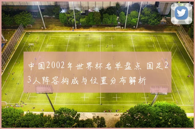 中国2002年世界杯名单盘点 国足23人阵容构成与位置分布解析