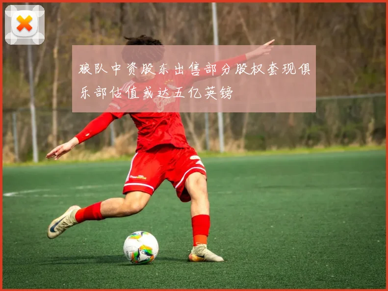 狼队中资股东出售部分股权套现俱乐部估值或达五亿英镑