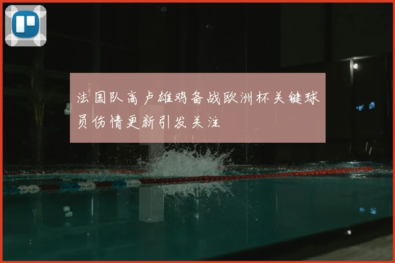 法国队高卢雄鸡备战欧洲杯关键球员伤情更新引发关注